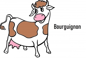 Livraison Bourguignon - 800g