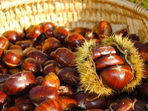 Livraison Chataignes - 1kg