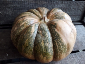 Livraison Courge muscade BIO - 2 kg