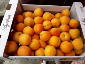 Livraison Abricots à confiture - Caisse de 5 kg