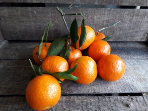 Livraison Clémentine Corse - 1 kg