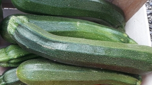 Livraison Courgettes - 500 g