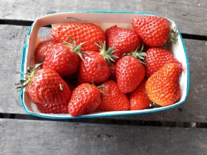 Livraison Fraise - barquette 500g