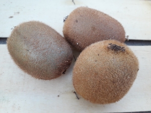 Livraison Kiwi - lot de 3 kiwis