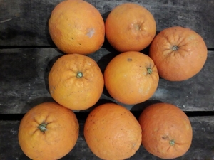 Livraison Filet d'orange à Jus - 5kg
