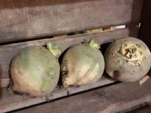 Livraison Rutabaga 1 kg